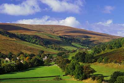 3195_View over Langstrothdale